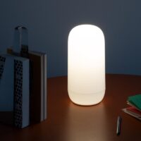 ARTEMIDE Gople Portable LED-Akkuleuchte auf Tisch positioniert