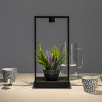 ARTEMIDE Curiosity LED-Tischleuchte mit Akku in verschiedenen Farben und Ausführungen online kaufen bei Lampada