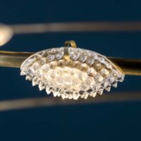 Catellani & Smith 28 Petits Bijoux Pendelleuchte – Bild 2
