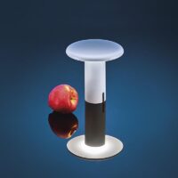 Takku - tragbare Akkuleuchte von Artemide