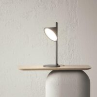 Axolight Orchid LED-Tischleuchte in Anthrazit