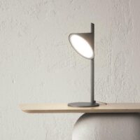 Axolight Orchid LED-Tischleuchte in Anthrazit