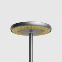 Rotaliana Sol F1 LED-Deckenfluter Graphit - Gold matt