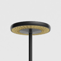 Rotaliana Sol F1 LED-Deckenfluter Schwarz matt - Gold matt