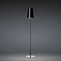 Foscarini Birdie Stehleuchte Graphit