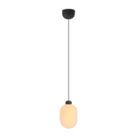 GRAU Sun LED-Pendelleuchte Schwarz matt