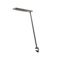 GRAU Xt-a Single LED-Tischleuchte Schwarz Klemme