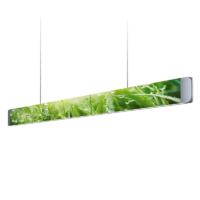 Grimmeisen Onyxx Linea Pro Pendelleuchte Stylecover Dibond Grass Silber