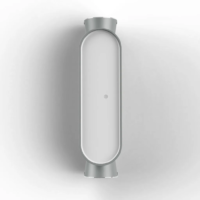 Roger Pradier Ibuk N° 1 LED-Außenwandleuchte Seidengrau