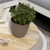 8 seasons design Shining Curvy Pot XM Blumentopf – Bild 2