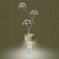 Foscarini Fleur Akku-Tischleuchte in Salbeigrün