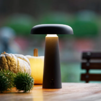 BEGA Akku-Tischleuchte LED – Bild 2