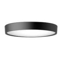 Ribag Arva LED-Deckenleuchte Ø 44 cm schwarz