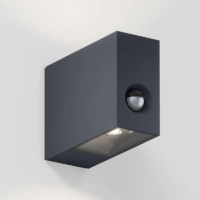 IP44.DE Eye Control LED-Außenwandleuchte Anthrazit