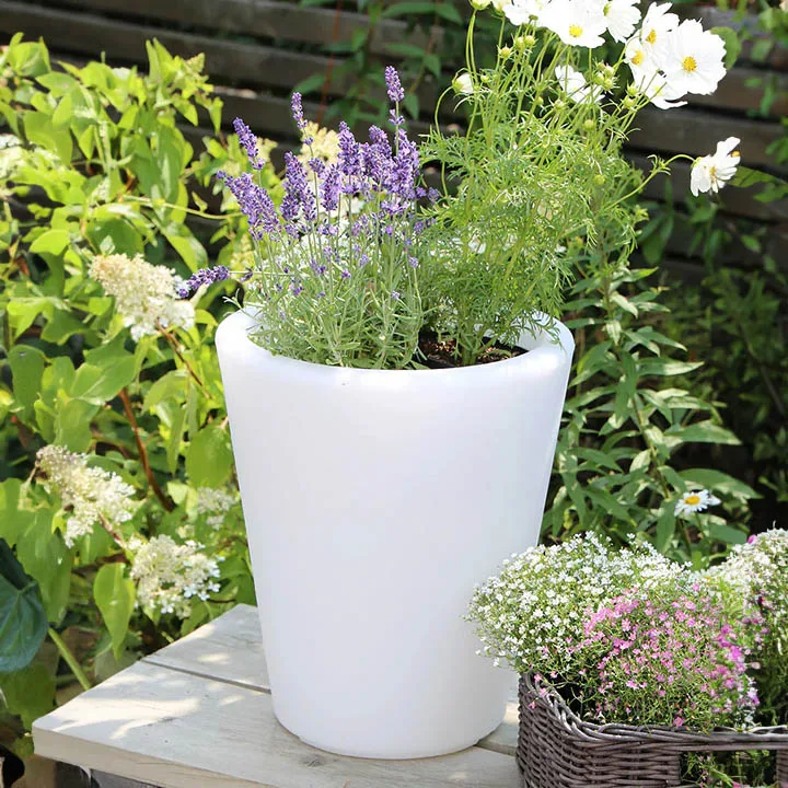 8 seasons design Shining Classic Pot S Smart One + – Bild 2