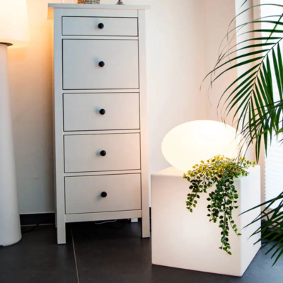 8 seasons design Shining Eye