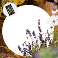 8 seasons design Shining Globe RGB