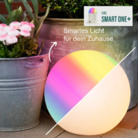 8 seasons design Smart Globe+