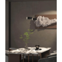 CHRISTOPH c.Pace pendant LED-Pendelleuchte – Bild 12