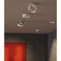CHRISTOPH c.Pace spot LED-Deckenleuchte – Bild 7