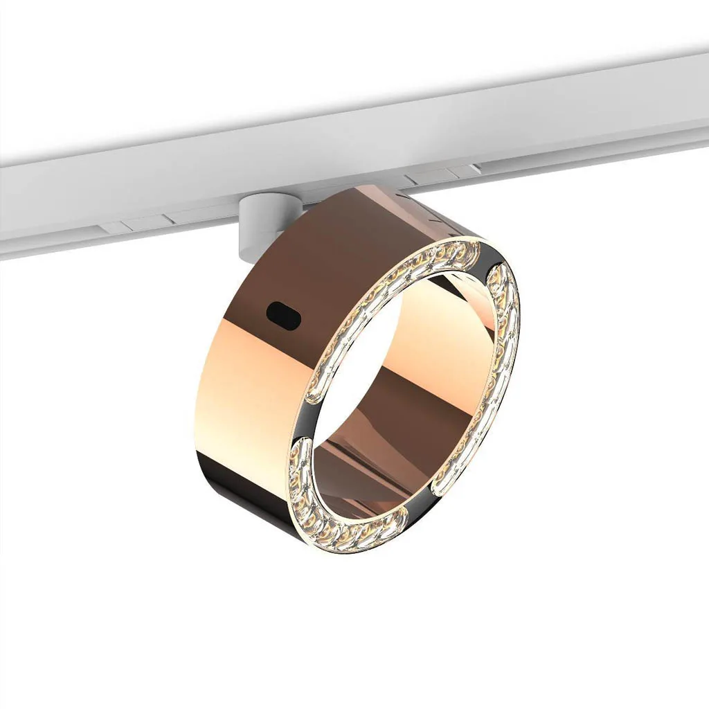 CHRISTOPH c.Pace track LED-Stromschienenstrahler