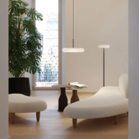 Die LED Pendelleuchte Belux Oto 34 und Stehleuchte als innovative Lichtquelle in einer modernen Wohnruamumgebung.