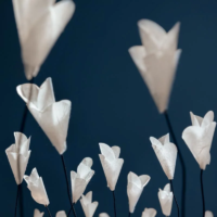 Catellani & Smith For You LED-Tischleuchte – Bild 6