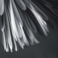 Foscarini Sun-Light of Love LED-Pendelleuchte – Bild 10