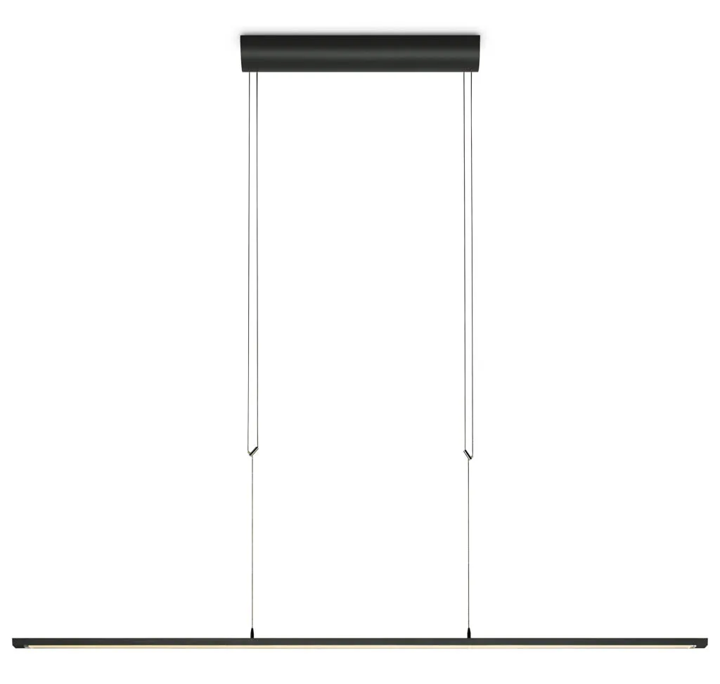 OLIGO Lisgo Sky Straight LED-Pendelleuchte Schwarz matt
