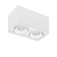 Lumiparts Caja LED 2-Licht Aufbaudeckenstrahler