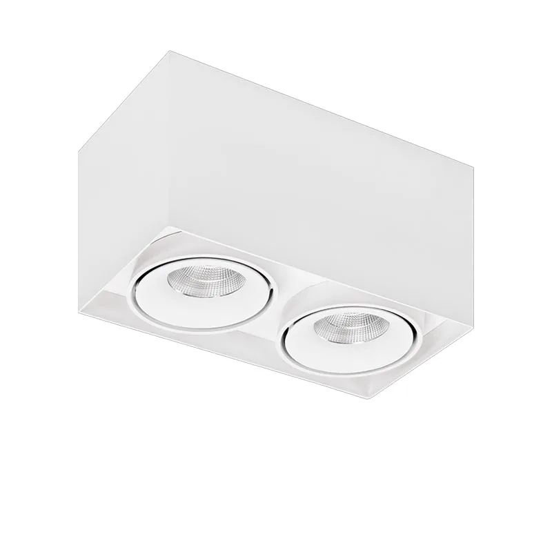 Lumiparts Caja LED 2-Licht Aufbaudeckenstrahler