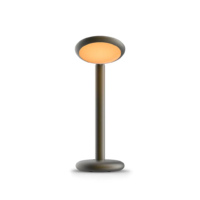 GRAU Parrot Table Tischleuchte Black Brass