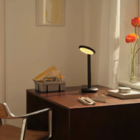 Schreibtischlampe GRAU Parrot