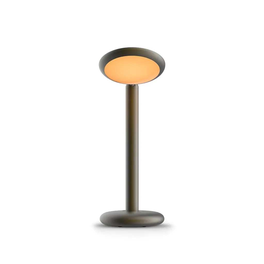 GRAU Parrot Table Tischleuchte Black Brass