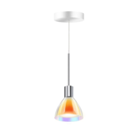 Bruck Silva Neo 110 Dicro LV S Pendelleuchte Chrom Glass Orange-Gelb