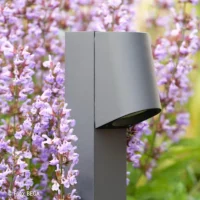 Bega Garten- und Wegeleuchte mit nach unten gerichtetem Licht – Bild 3