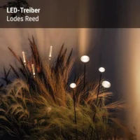 Lodes Reed LED-Treiber