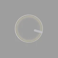 Holtkötter Circular M LED-Wandleuchte Silber Matt